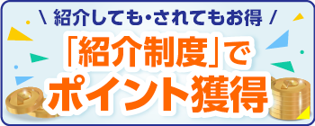 ¾Ò²ðÀ©Å٤ǥݥ¤¥ó¥È³ÍÆÀ